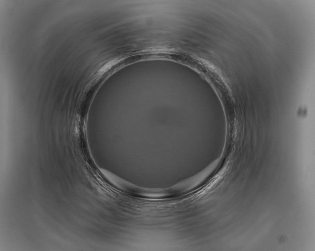 X0000095511161200712141417