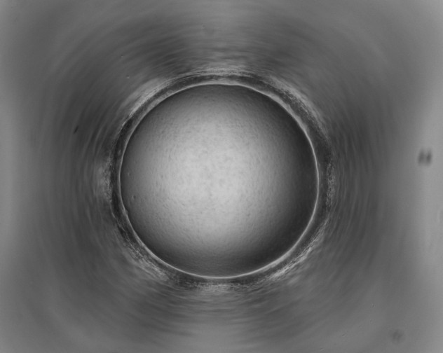 X0000095511162200712141417