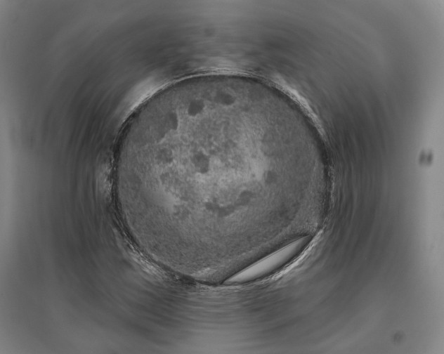 X0000095511163200712141417