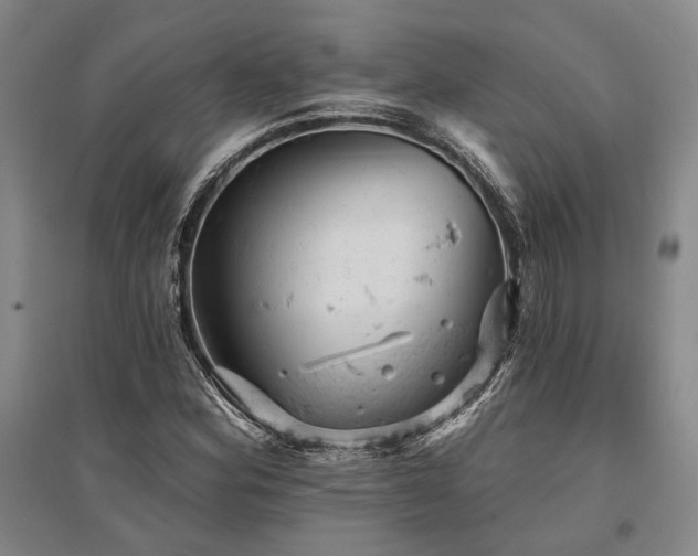 X0000095511164200712141417