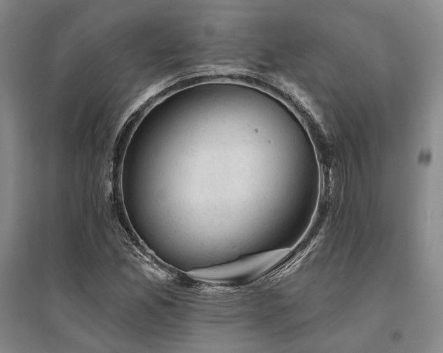 X0000095511165200712141417