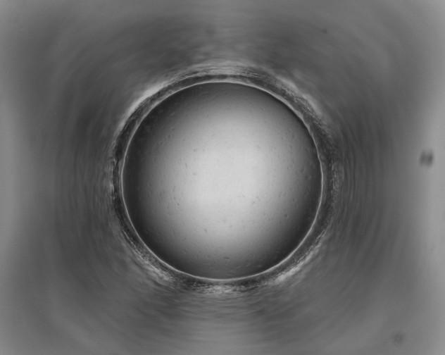 X0000095511166200712141417