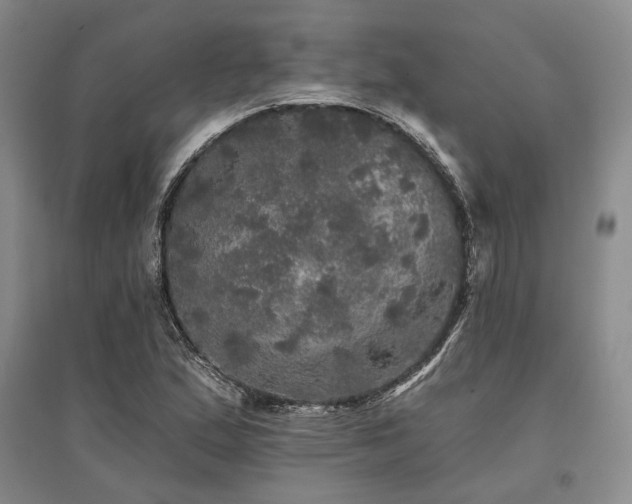X0000095511167200712141417
