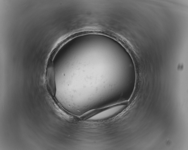 X0000095511168200712141417