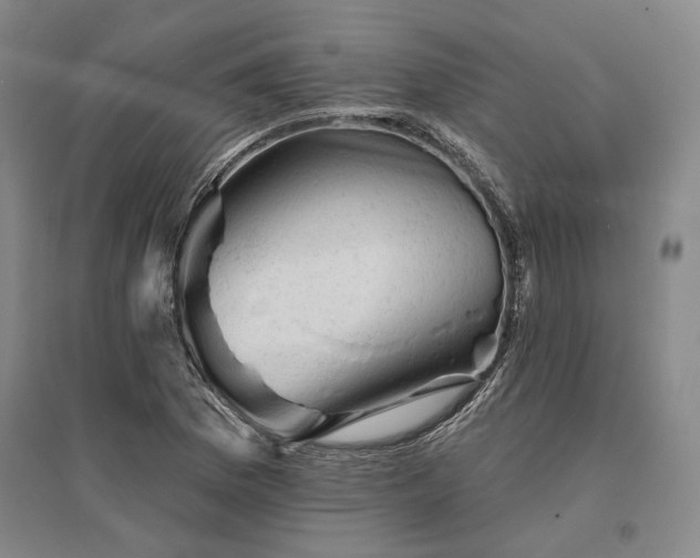 X0000095511169200712141417