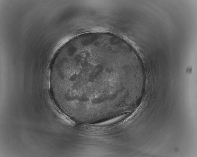 X0000095511171200712141417