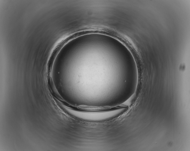 X0000095511172200712141417