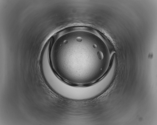 X0000095511173200712141417