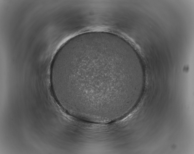 X0000095511174200712141417
