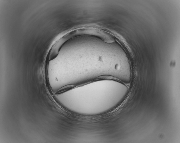 X0000095511176200712141417
