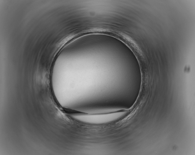 X0000095511177200712141417