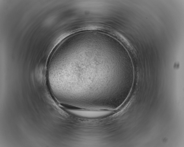 X0000095511178200712141417