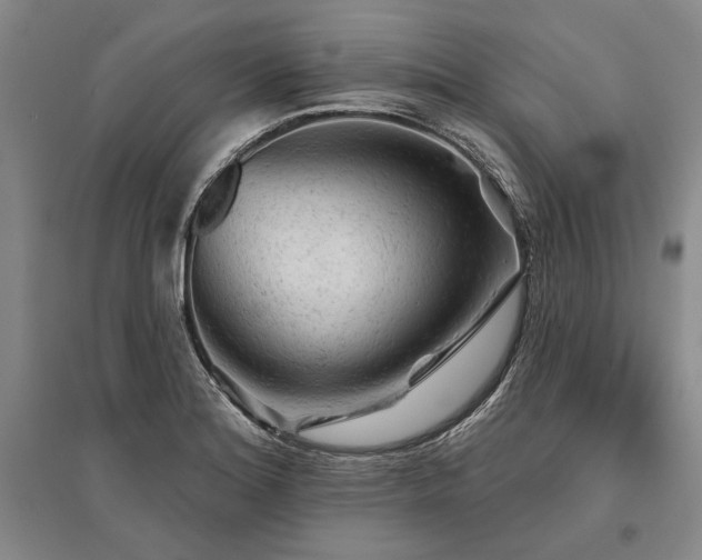 X0000095511180200712141417