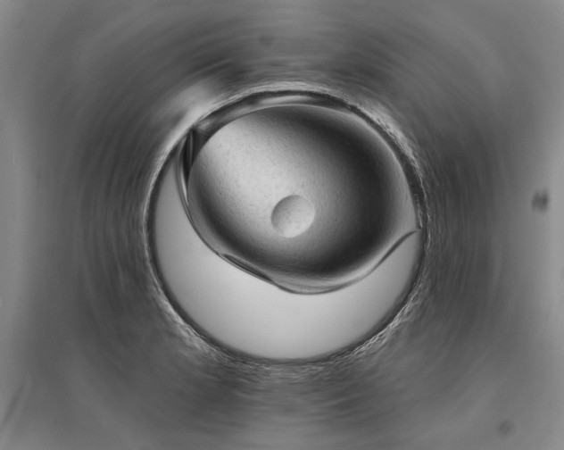 X0000095511181200712141417