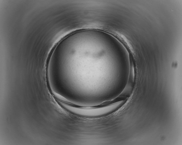 X0000095511184200712141417