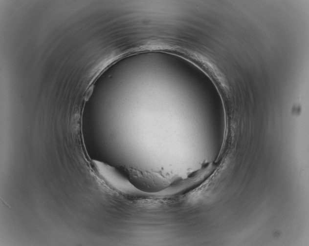 X0000095511185200712141417