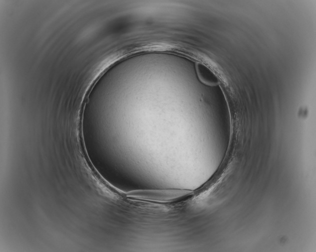 X0000095511186200712141417