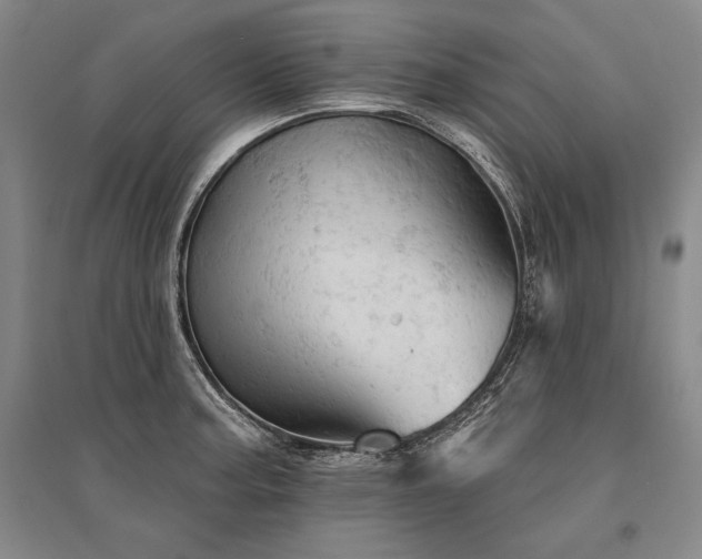 X0000095511187200712141417