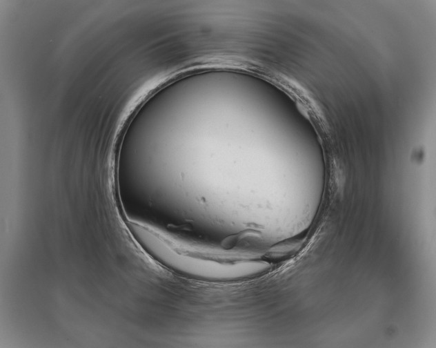 X0000095511188200712141417