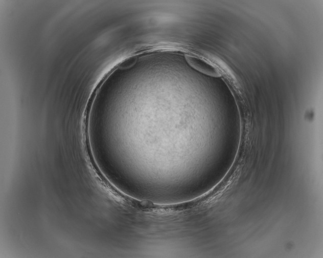 X0000095511190200712141417
