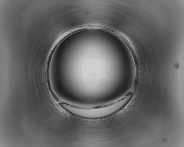 X0000095511192200712141417