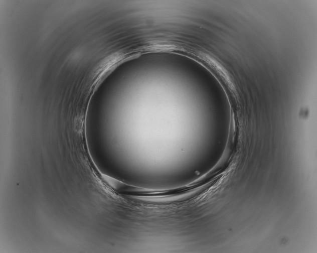 X0000095511193200712141417