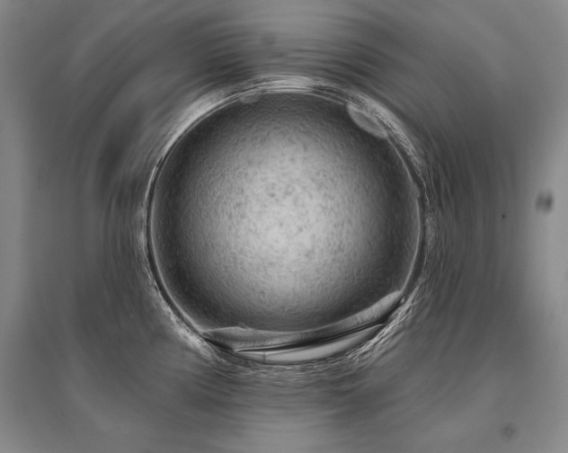 X0000095511194200712141416