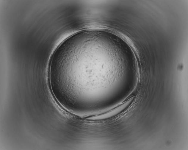 X0000095511195200712141416