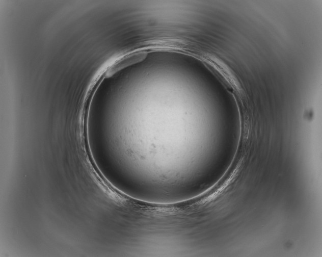 X0000095511196200712141416