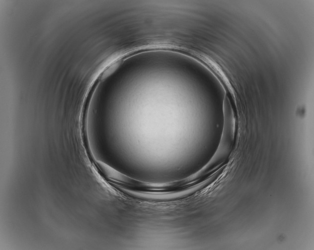 X0000095511197200712141416