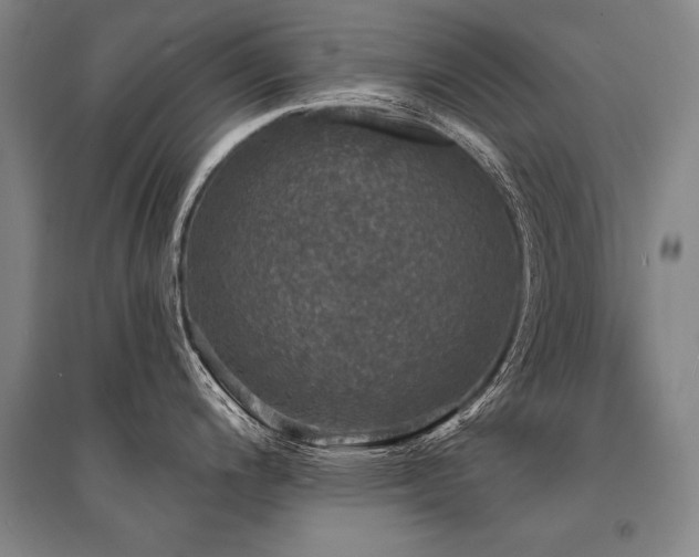X0000095511200200712141416