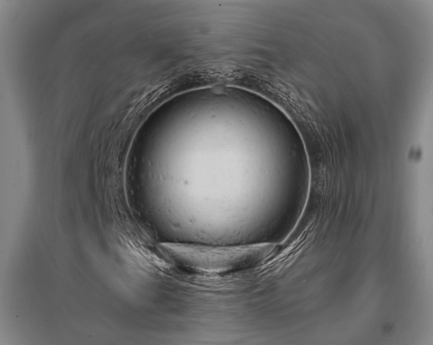 X0000095511201200712141415