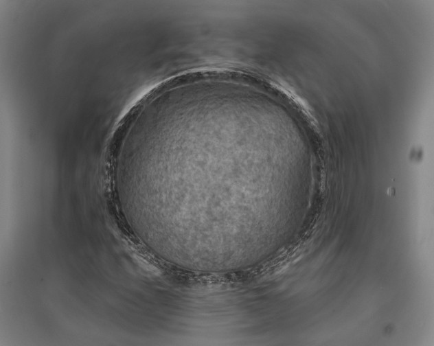 X0000095511208200712141416