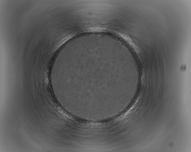 X0000095511209200712141416