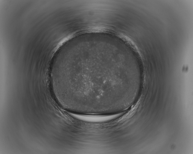 X0000095511210200712141416