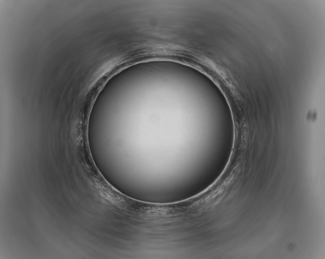 X0000095511211200712141416