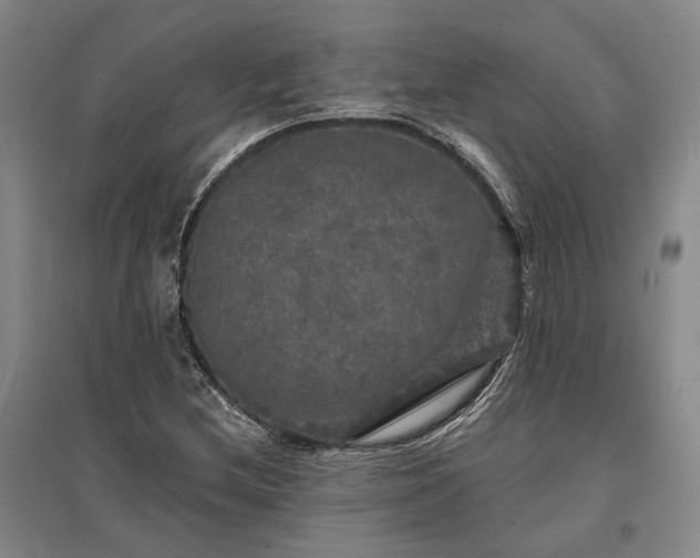 X0000095511212200712141416