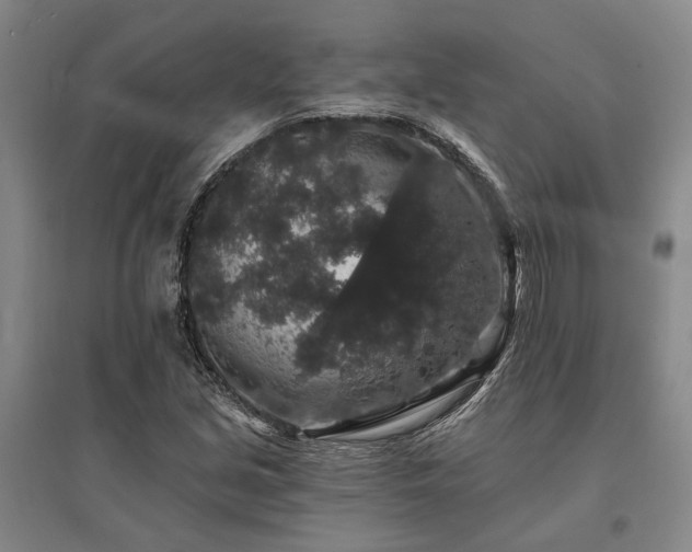 X0000095511213200712141416