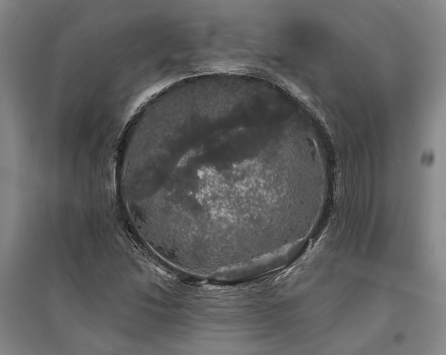 X0000095511214200712141416