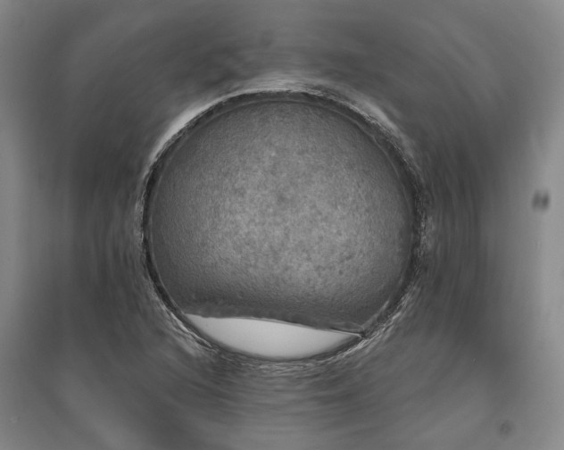 X0000095511216200712141416
