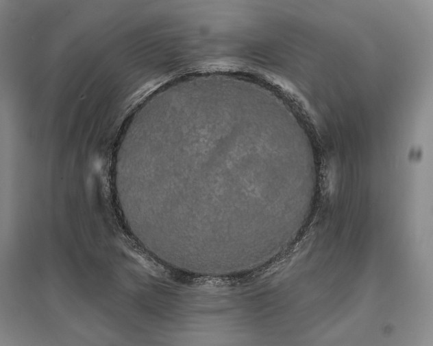 X0000095511217200712141416