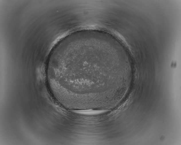 X0000095511218200712141416