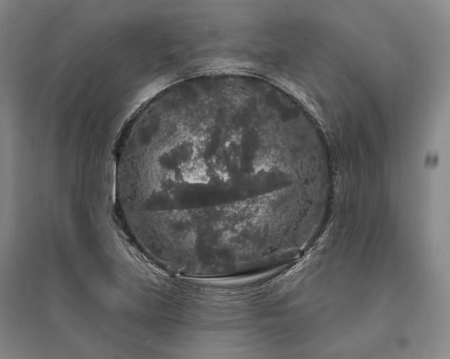 X0000095511219200712141416