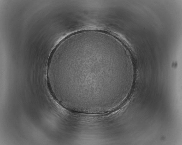X0000095511220200712141416