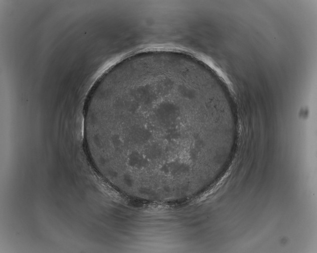 X0000095511221200712141416