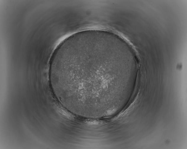X0000095511222200712141416