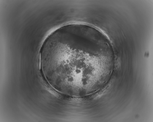 X0000095511223200712141416