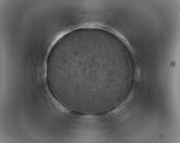 X0000095511224200712141416
