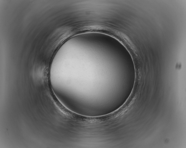 X0000095511225200712141416