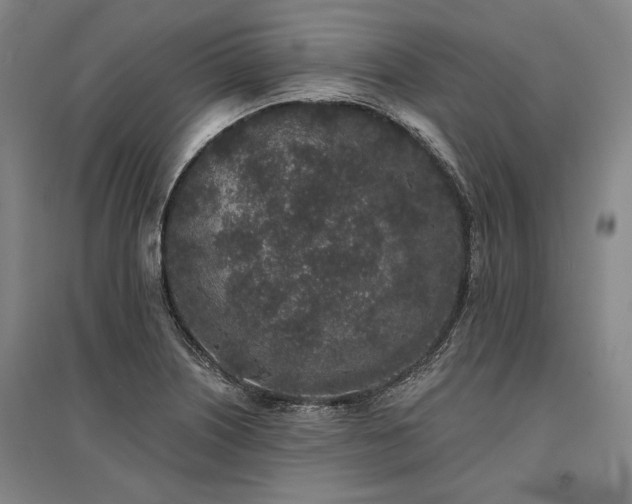 X0000095511226200712141416